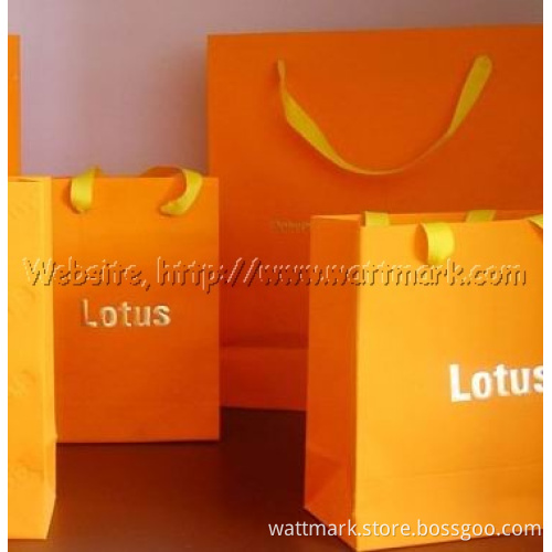 Beautiful Paper Bag (BPB)